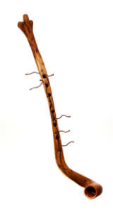 Bio-Saxoped